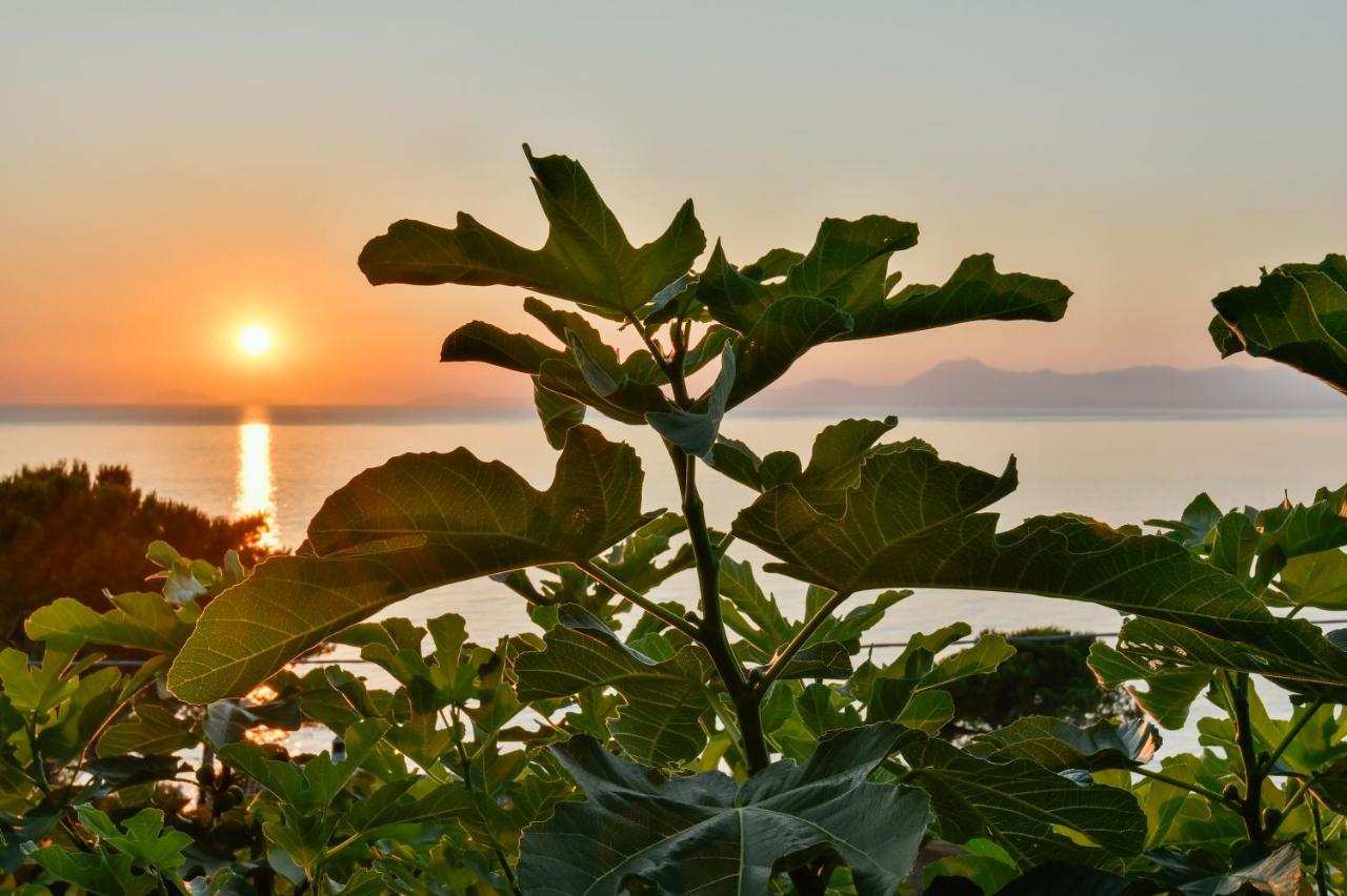 Albeca Boutique Hotel - Relais De Charme Sul Mare Castellabate Eksteriør billede