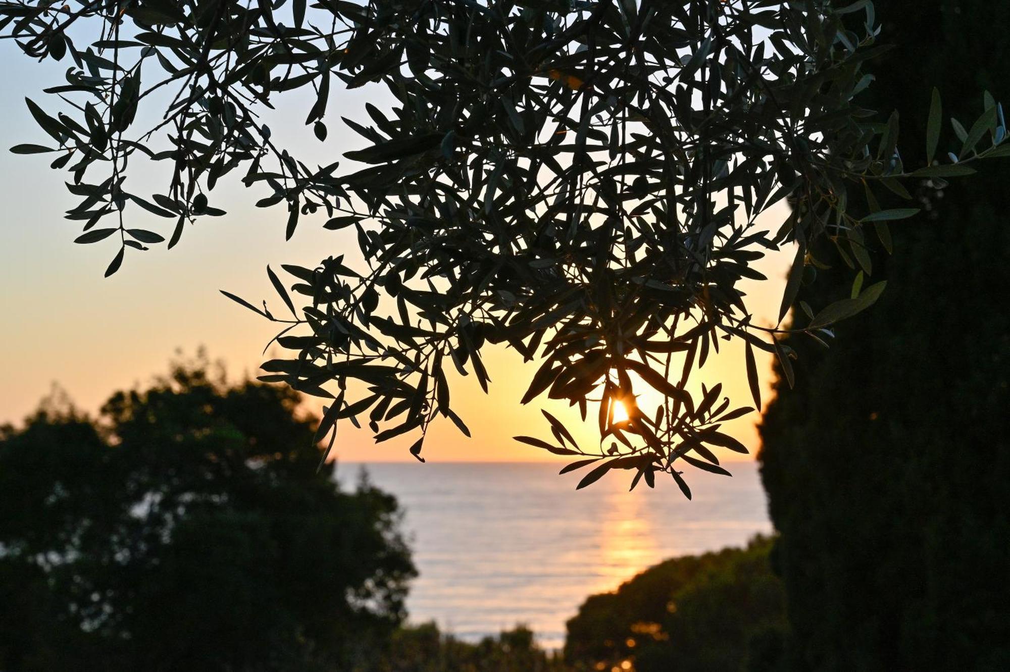 Albeca Boutique Hotel - Relais De Charme Sul Mare Castellabate Eksteriør billede