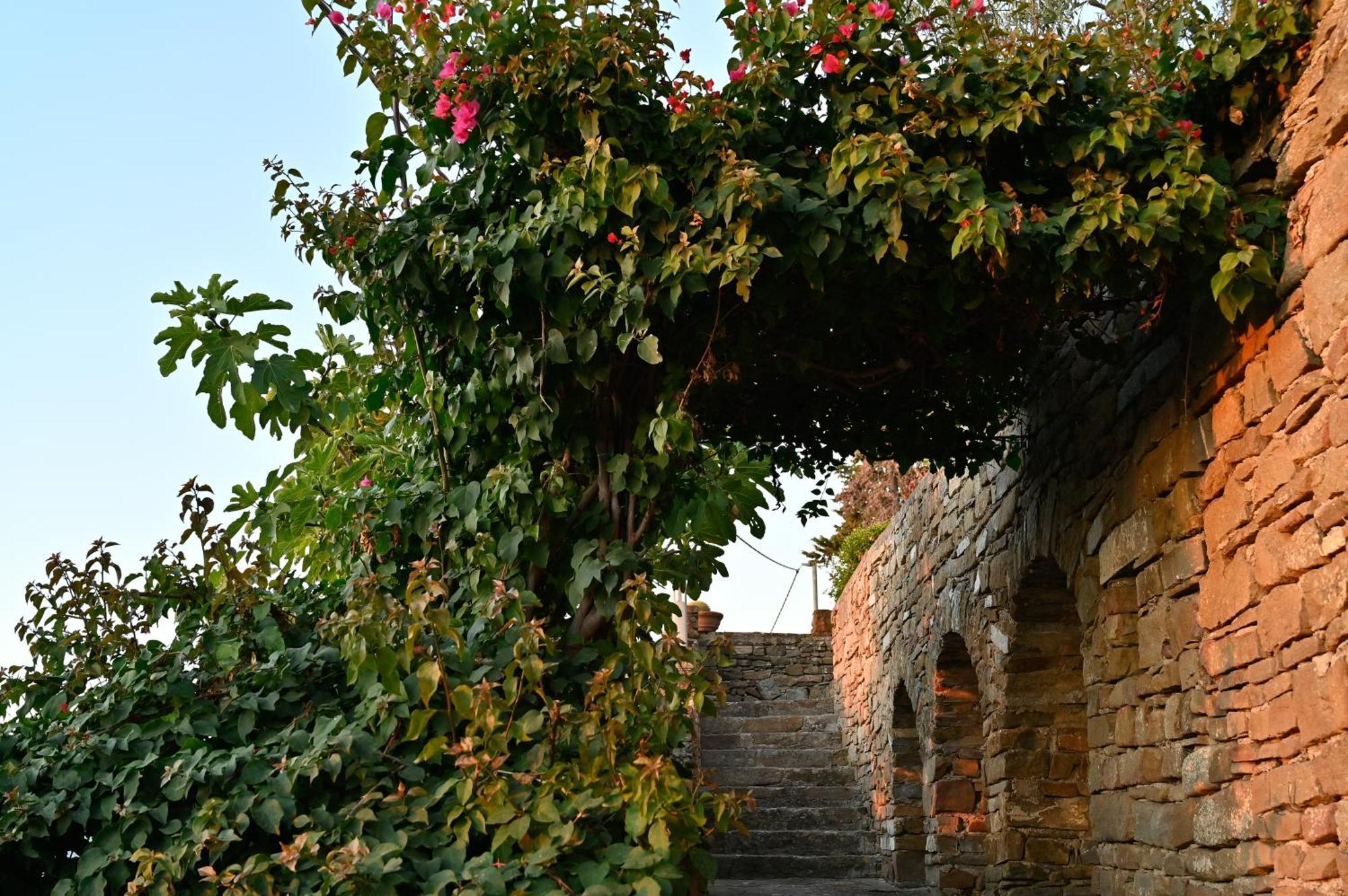 Albeca Boutique Hotel - Relais De Charme Sul Mare Castellabate Eksteriør billede